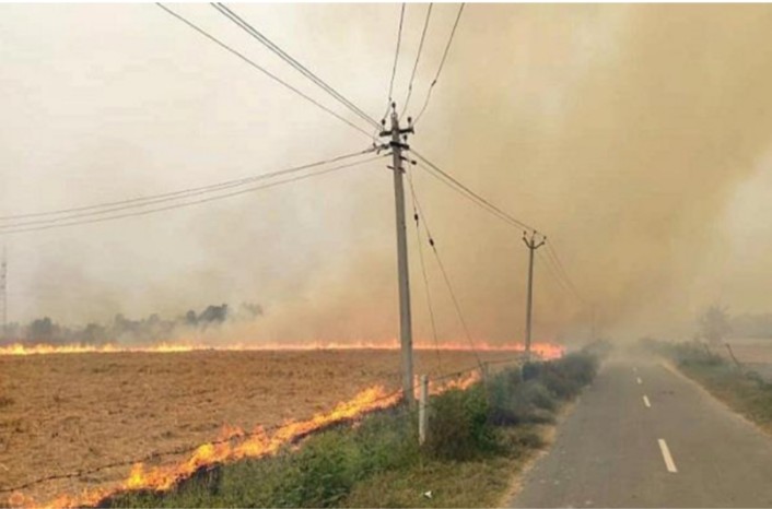 Four cases have been registered against unidentified people who set fire to stubble and waste pits in fields